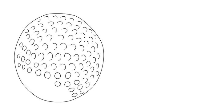Animated sketch vector self drawing doodle golf ball close-up dimples drawn in black changes to color illustration