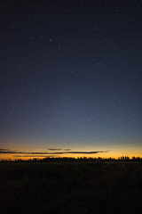 The constellation URSA major on a summer night,