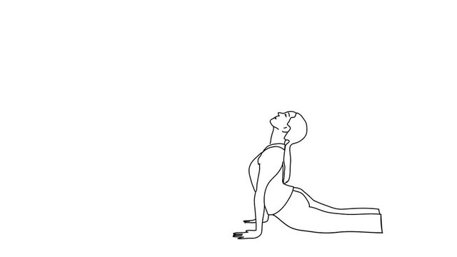 Animated sketch vector self drawing doodle yoga woman in up dog cobra pose asana posture drawn in black changes to color illustration