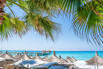 Fototapeta na wymiar Palm and tropical beach. Tourism vacation concept. Umbrellas ans blue ocean on background