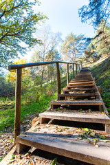 wooden staircase in the forest on a hill