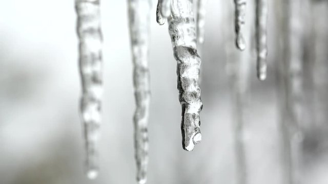 Close up shot of icicles melting