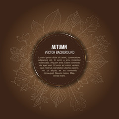Vector brown autumn background with outlines of leaves