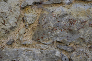 Old stone wall texture