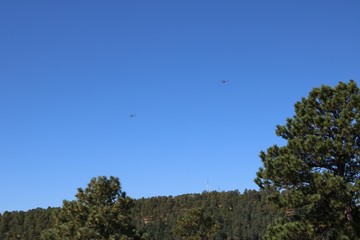 Fototapeta na wymiar two helicopters flying in clear blue sky with trees below