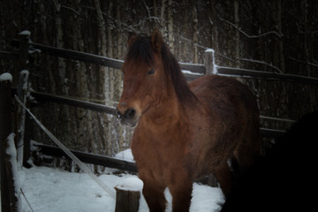 siedliska © Grzegorz