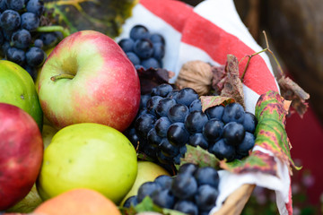A basket of delicious autumn fruit, grape and apple pear and walnut.