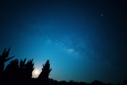 Sky at night with many star over pine forest, Beautiful clear sky at night, Bright star light with dark sky blue tone