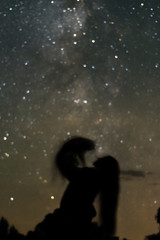 Silhouettes of a girl with a cat couples against the milky way