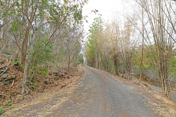 Country road in Thailand