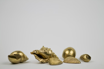 Gold shells