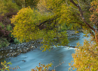Jordan river in Provo Utah with autumn tree branch and slow flowing water