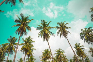 Obraz na płótnie Canvas Coconut palm trees - Tropical summer beach holiday, Vintage tone