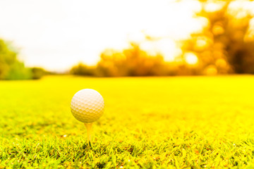 ゴルフボールとティー