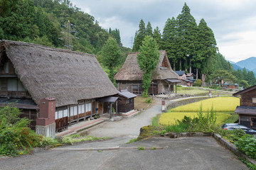 Fototapeta na wymiar Gifu Gokayama (World Heritage Site in Japan)