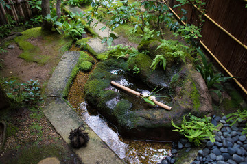 Japanese Samurai Garden