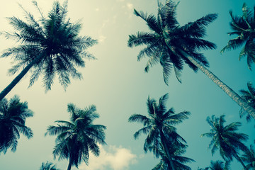 Obraz na płótnie Canvas Coconut palm trees - Tropical summer beach holiday, Retro tone