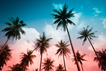 Fototapeta na wymiar Coconut palm trees - Tropical summer beach holiday, Vintage tone effect