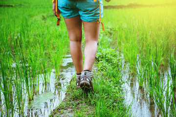 Asian woman travel nature Travel relax Walking take a photo on the rice field in rainy season.