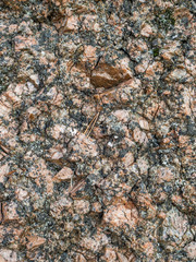 stone texture with moss on top in the Karelian forest 
