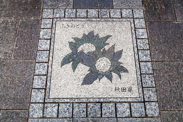 Japanese Sidewalk Art
