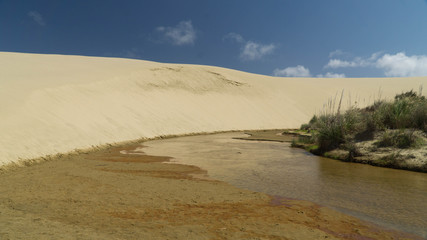 Famous giant golden sand dunes situated in North Island, New Zealand