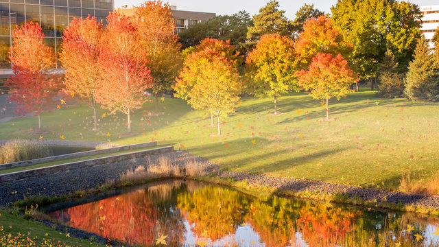 Beautiful autumn scene at Twin Cities, Minnesota	