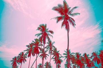 Coconut palm trees in sunny day - Tropical aloha summer beach holiday vacation concept, Vintage color tone effect