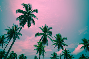 Coconut palm trees - Tropical summer beach holiday, Color tone