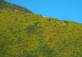 Landscape of woods during the autumn season with warm colors