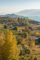 View of Naramata Bench vineyards, trees, Munson Mountain, and Okanagan Lake in October