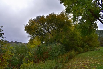 Fototapeta na wymiar Autumn trees against a stormy sky