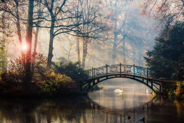 Gartenposter Brücken Malerischer Blick auf neblige Herbstlandschaft mit schöner alter Brücke mit Schwan auf Teich im Garten mit rotem Ahornlaub.