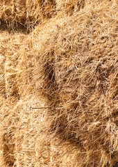 bound straw