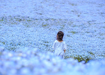 Little girl in blue dress stand on the filed enjoy with the blue flower (Nemophila or Baby blue eye) at Hitachi Seaside Park.