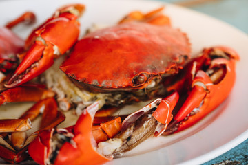 undressed roasted crabs prepared on plate. Thailand seafood 