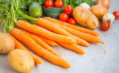 Fresh bio carrots