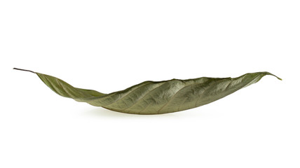 Fototapeta na wymiar Dry leaf isolated on a white background