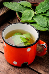 Cup of fresh herbal tea