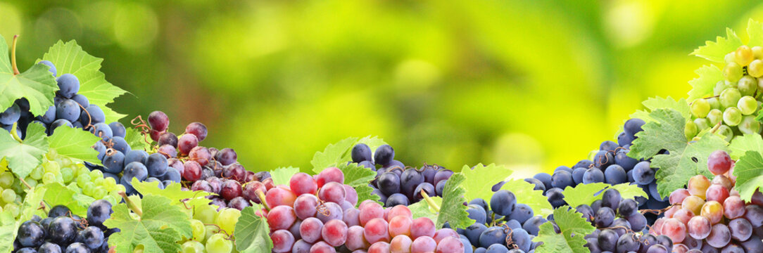 Grapes from your favorite garden