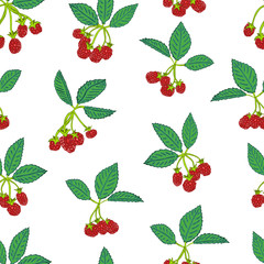 Seamless pattern of blackberry or raspberry. Berry background for textiles, wallpaper, sets of drawings, covers, surface, print, wrapper, scrapbooking.
