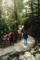 Obraz premium New Zealand, Queenstown, Hill walking track