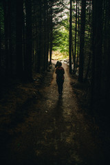 New Zealand, Queenstown, Hill forest