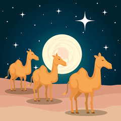 cute camels in desert scene