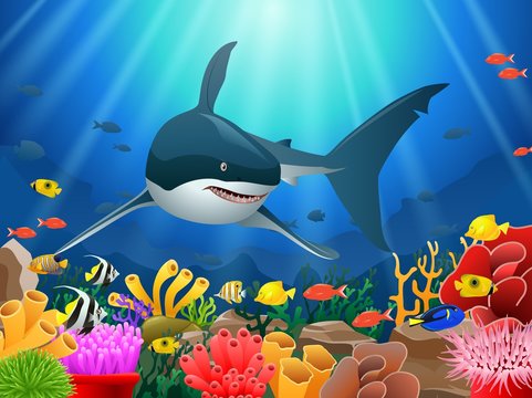 Sharks and coral reefs in the sea. underwater beauty. Vector illustration