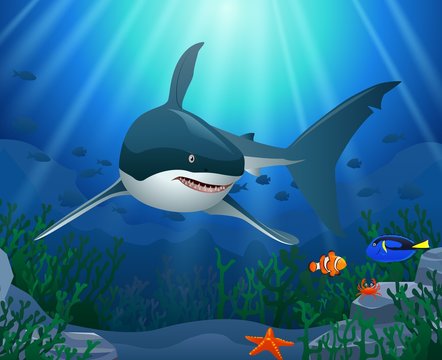 Sharks and coral reefs in the sea. underwater beauty. Vector illustration