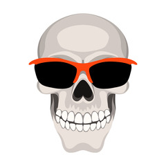   skull vector illustration flat style front side