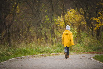 Back view on walking little boy. Child walking in the park on autumn day. Countryside lifestyle.