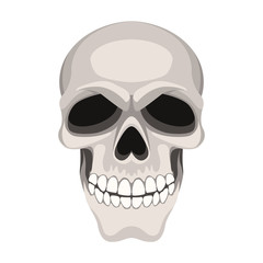 skull vector illustration flat style front side