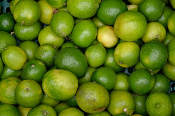Lime citrus fruit background